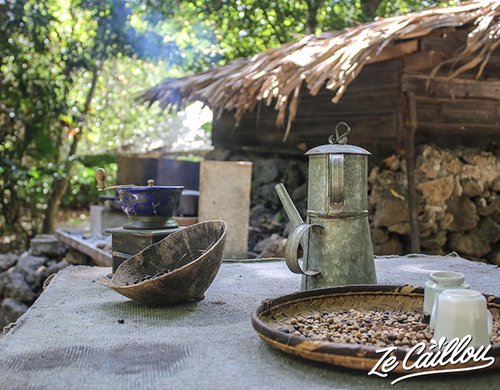 1-visite-vieux-domaine-cafe-boucan-sud-reunion