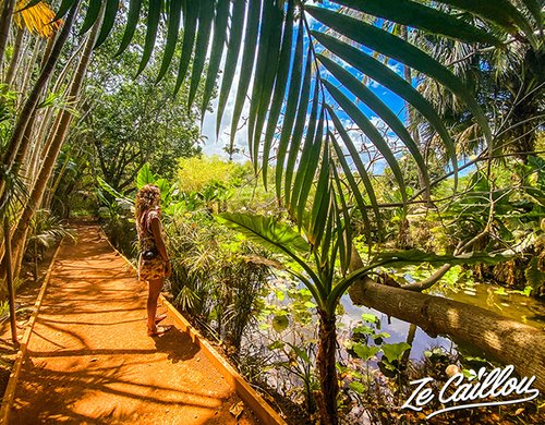 3-jardin-deden-visite-plantes-aquatique