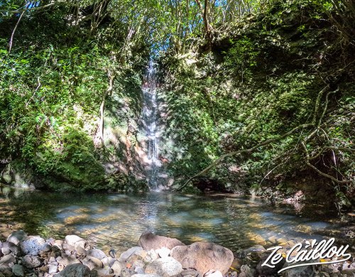 4-safari-photo-cerfs-reunion-sainte-marie-cascade