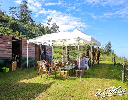 5-foret-du-rempart-visite-association