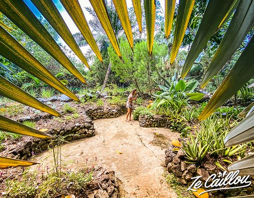 5-jardin-deden-plantes-medicinales