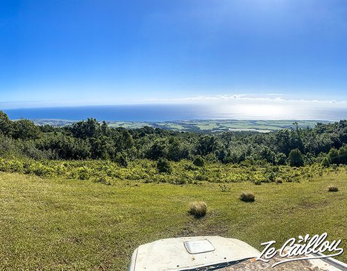 5-safari-photo-cerfs-reunion-vue-sainte-marie