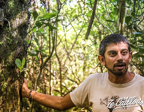 6-foret-du-rempart-visite-association-fanjan