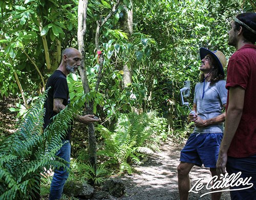 6-visite-vieux-domaine-jardin-botanique-sud-reunion
