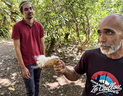 7-visite-vieux-domaine-plante-endemique-sud-reunion