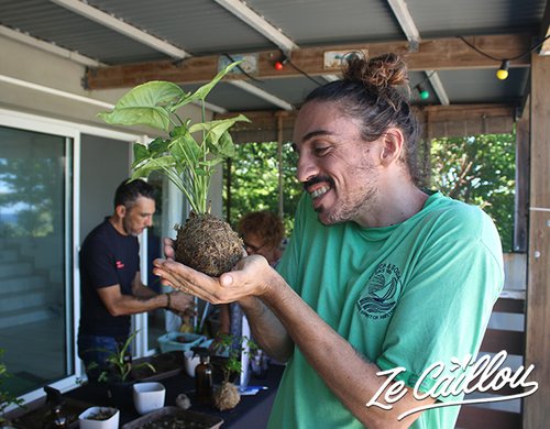 8-atelier-kokedama-reunion-jardin-decoration